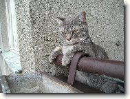 To je posezen��ko.