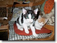 Krimin�ln��ek se jmenoval.....