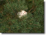 Tam jsem v bezpe��...