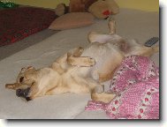 Tracy ve sv� obl�ben� poloze