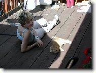 "dv� ko�ky na slunci"