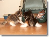 Je to tu jako na kluzi�ti!