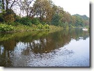  �esk� T��n - �eka Ol�e