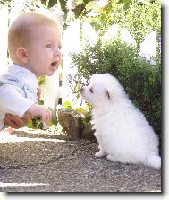 o �em si pov�daj�