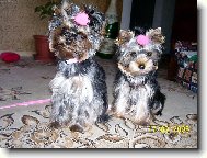 Jdeme ven-je�t� foto:-)