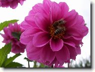 Pracovi�t� v�el�ch d�lnic