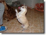 Kdo m� del��???