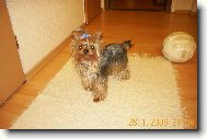 Max�k-