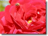 Zase o d�m d�l...