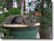 Takhle j� si �iju