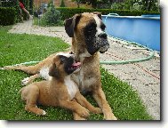 Betynka a Buf��ek