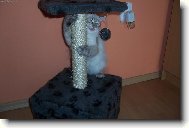 �kr�badlo m�sto basy???