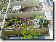 balkon s boungaivilleemi -�ervenec 2005