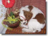 To m�ste�ko je moje.