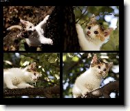 Mia a jej� v�let