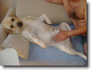 chlapsk� pohodi�ka