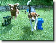 l�taj�c� k�mo�i