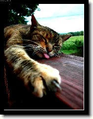 Na�e Mi� Mi� =)