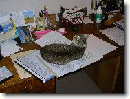 Se u�it, se u�it, se u�it...