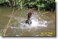 Nikolka ve vodi�ce