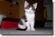 Alf��ek jako miminko :)