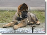 Kou�en� �kod� zdrav� :-)