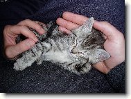 Mike�ka (v t� dob� je�t� Mike�)