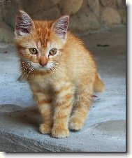 ... ne� se n�m ztratila :-(