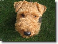 d�vej se mi do o��!