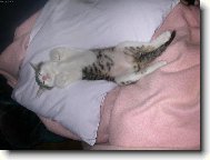 M��횚�aanek jak jen to jde:-)