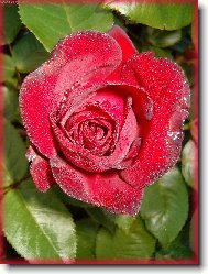 D�monick� r��e