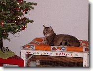 Garfild o V�noc�ch