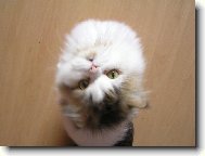 Cel� sv�t se to�� jen kolem m�!