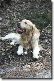 Po dlouh� vych�zce chvilka oddechu