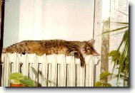 Je mi velmi p��jemn�