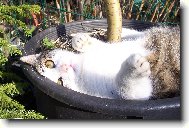 Nen� nad po��dn� odpo�inek v kv�tin��i:-)