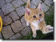 Dej mi ten fo��k