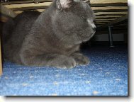 P�em��l�m, neru�it!