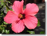 dovolen� a jej� kr�si