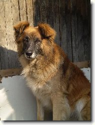 Po��d jen �ek�m, a� mi n�kdo p�ijde otev��t...