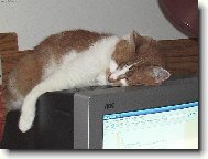 Unaven� po serfov�n�.