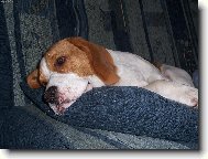 up��mn� pohled