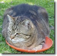 Sta�enka a l�taj�c� tal��