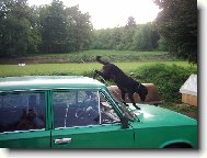 na  m�m aut� si m��u d�lat co chci...