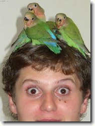 Marie a jej� pt��ci