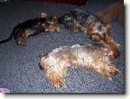 Takhle kr�sn� se um�me se�adit