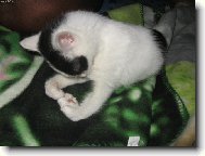 Jinak jsem norm�ln� :)