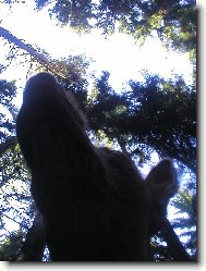 V lese je kr�sn�!!