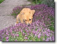 J�����  ta von�