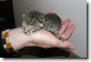 Pr�v� narozen�